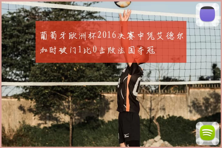 葡萄牙欧洲杯2016决赛中凭艾德尔加时破门1比0击败法国夺冠