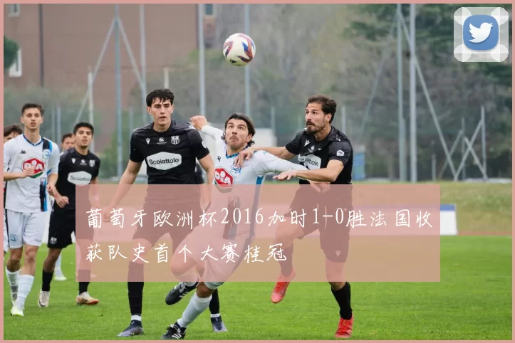 葡萄牙欧洲杯2016加时1-0胜法国收获队史首个大赛桂冠