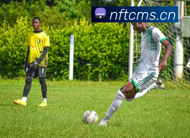 数据防护可视化